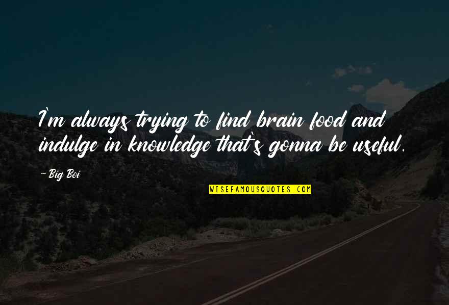 Things We Leave Behind Quotes By Big Boi: I'm always trying to find brain food and