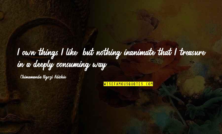 Things We Treasure Quotes By Chimamanda Ngozi Adichie: I own things I like, but nothing inanimate