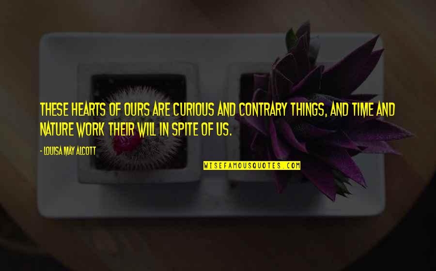 Things Will Work Quotes By Louisa May Alcott: These hearts of ours are curious and contrary