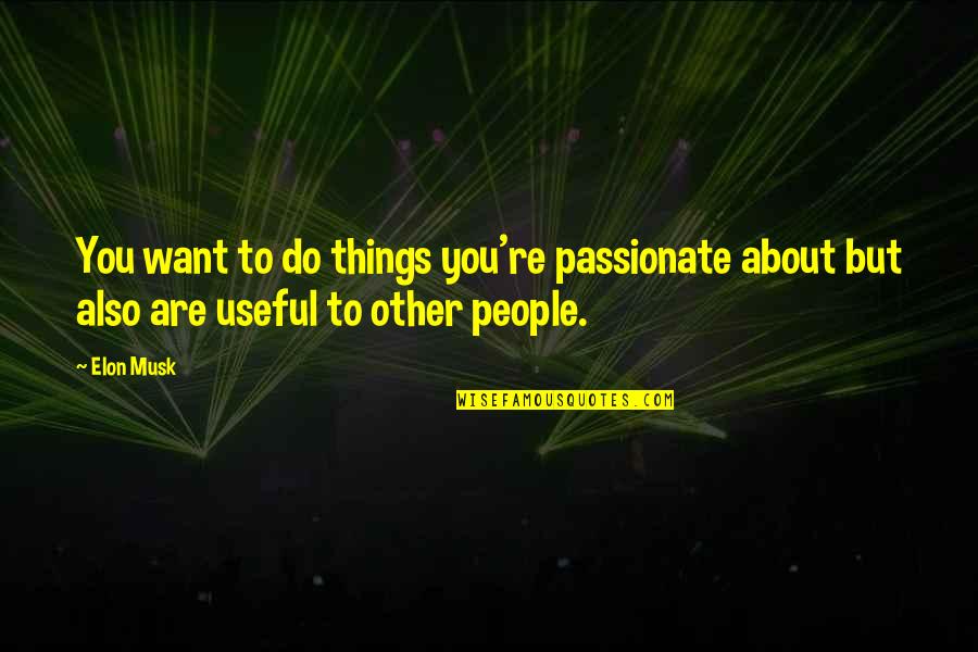 Things You Are Passionate About Quotes By Elon Musk: You want to do things you're passionate about