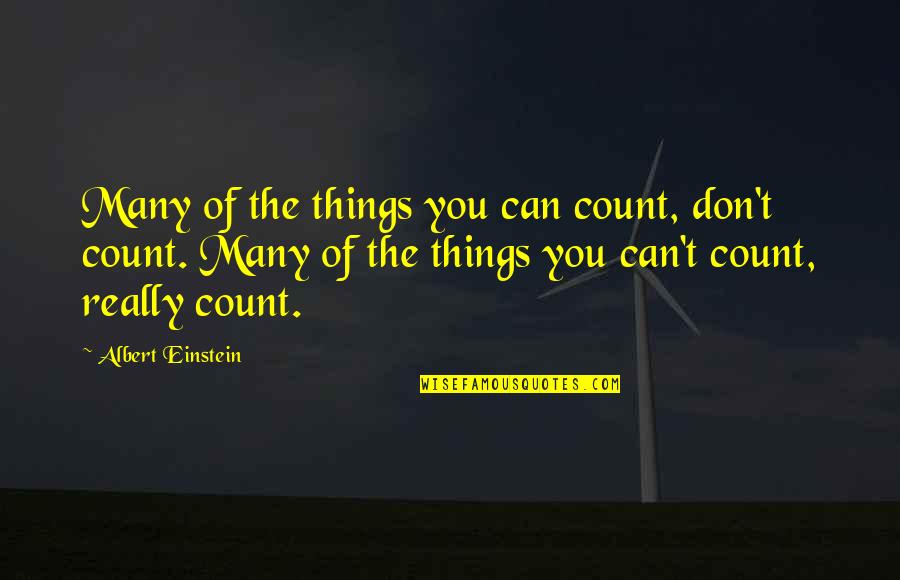 Things You Can Count On Quotes By Albert Einstein: Many of the things you can count, don't