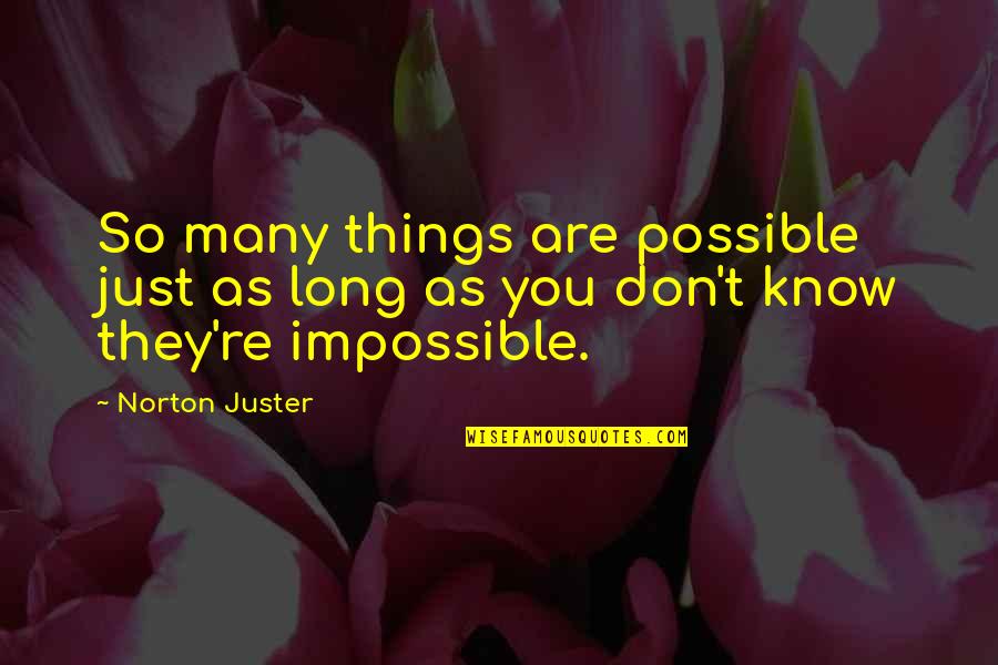 Things You Don't Know Quotes By Norton Juster: So many things are possible just as long