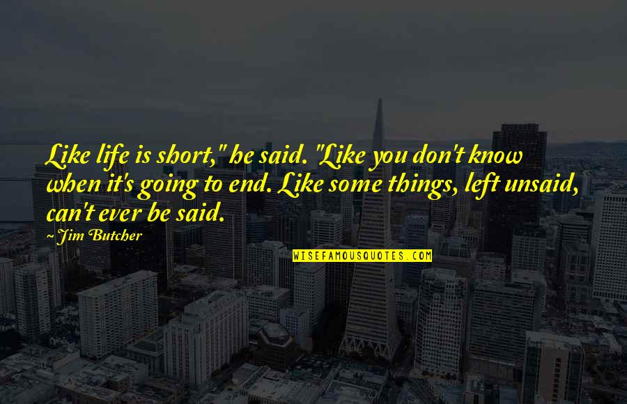 Things You Don't Like Quotes By Jim Butcher: Like life is short," he said. "Like you