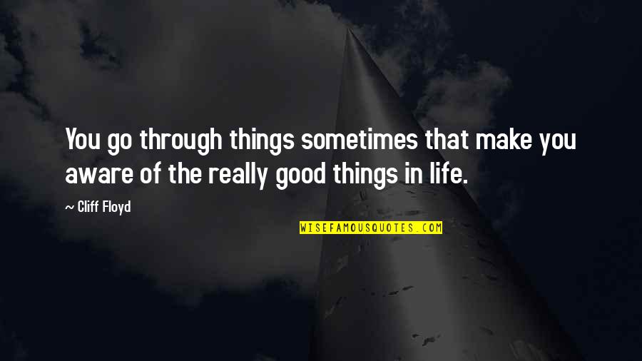 Things You Go Through Quotes By Cliff Floyd: You go through things sometimes that make you