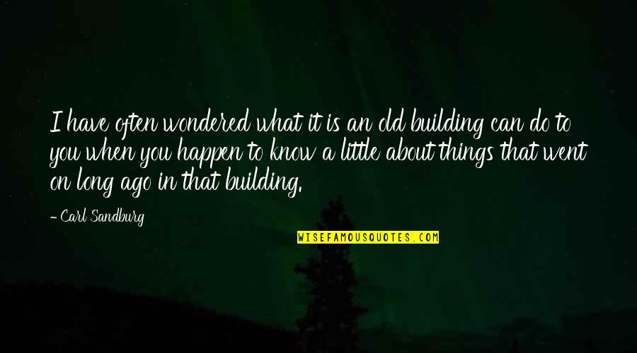 Things You Have To Do Quotes By Carl Sandburg: I have often wondered what it is an