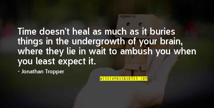 Things You Least Expect Quotes By Jonathan Tropper: Time doesn't heal as much as it buries