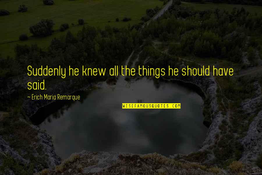 Things You Should Have Said Quotes By Erich Maria Remarque: Suddenly he knew all the things he should
