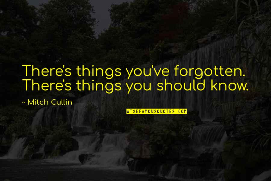 Things You Should Know Quotes By Mitch Cullin: There's things you've forgotten. There's things you should