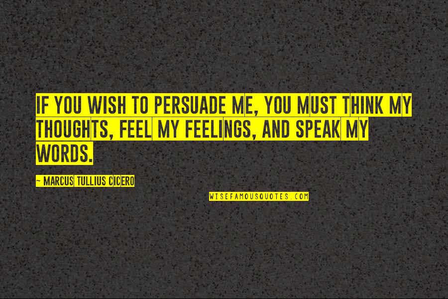 Think And Speak Quotes By Marcus Tullius Cicero: If you wish to persuade me, you must