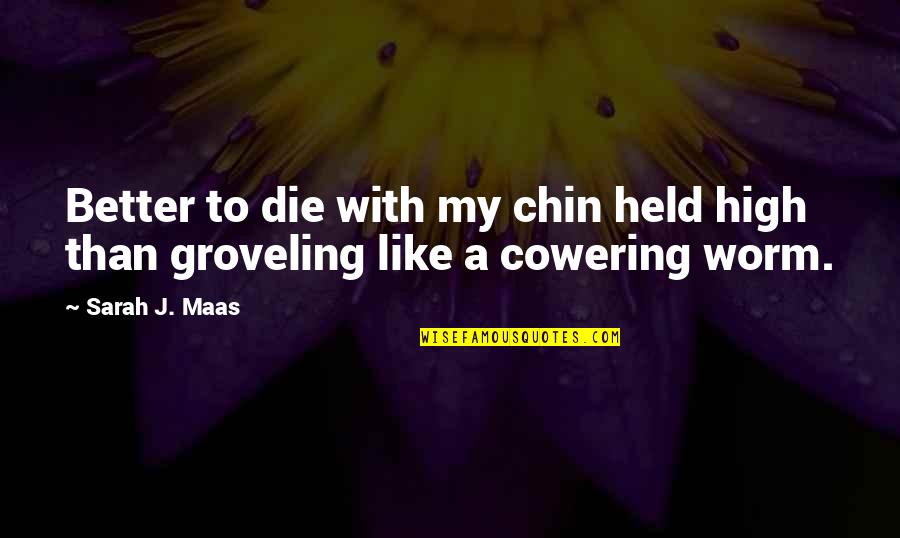 Think Big Start Small Learn Fast Quote Quotes By Sarah J. Maas: Better to die with my chin held high