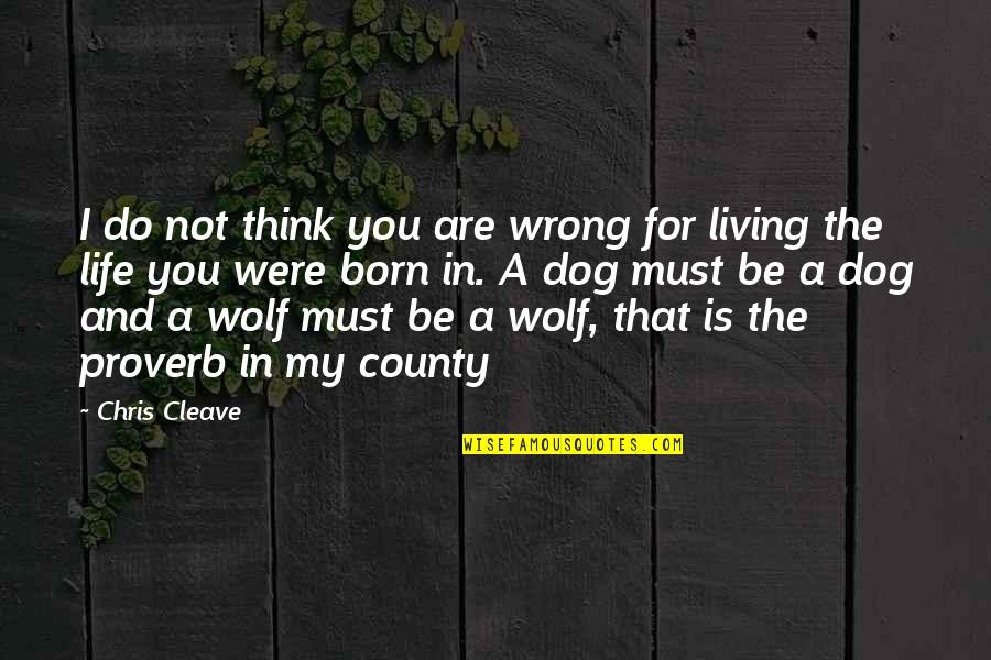 Think My Dog Quotes By Chris Cleave: I do not think you are wrong for