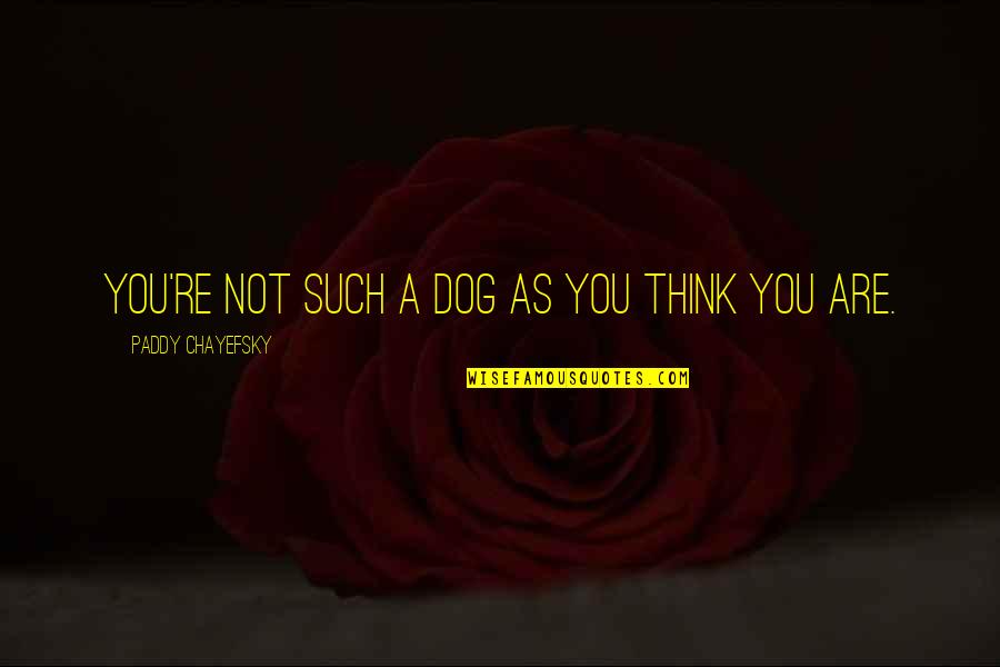 Think My Dog Quotes By Paddy Chayefsky: You're not such a dog as you think