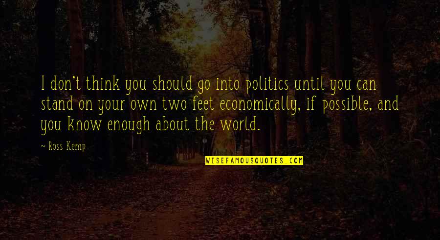 Think On Your Own Quotes By Ross Kemp: I don't think you should go into politics