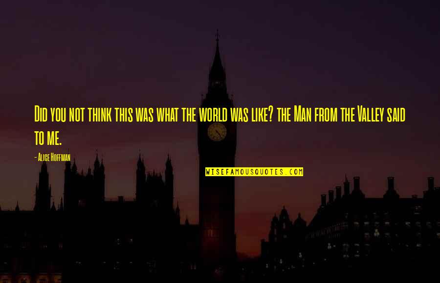 Think What You Like Quotes By Alice Hoffman: Did you not think this was what the