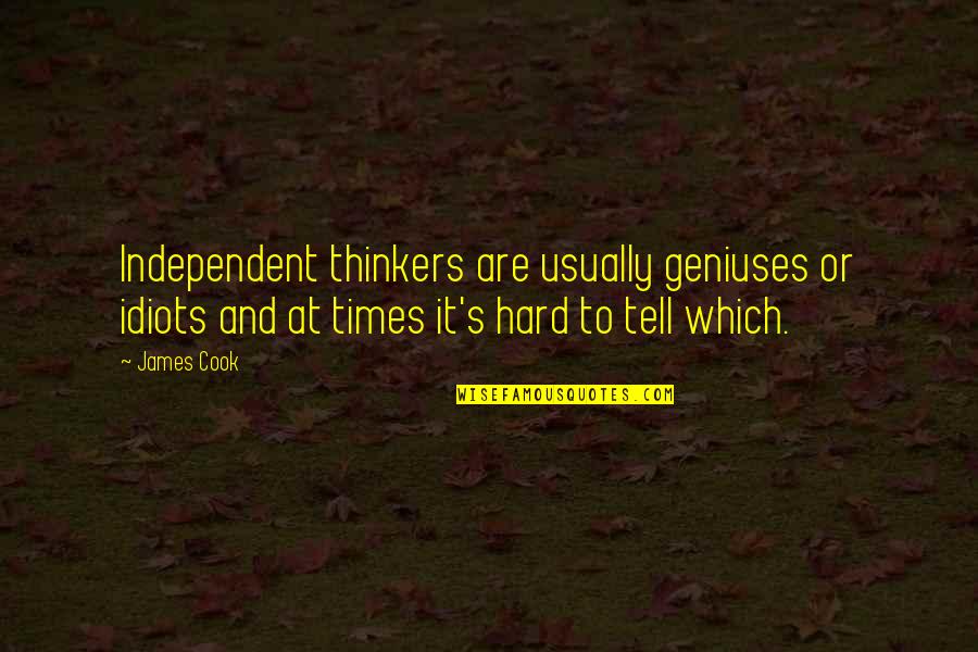 Thinkers Quotes By James Cook: Independent thinkers are usually geniuses or idiots and Thinkers Quotes By James Cook: Independent thinkers are usually geniuses or idiots and
