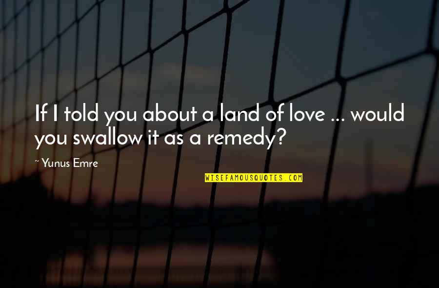 Thinkin Bout You Quotes By Yunus Emre: If I told you about a land of