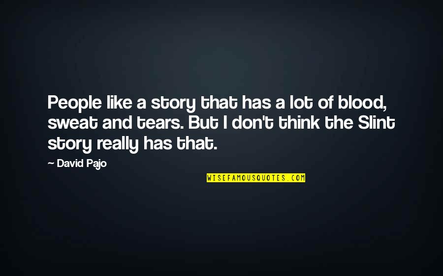 Thinking A Lot Quotes By David Pajo: People like a story that has a lot