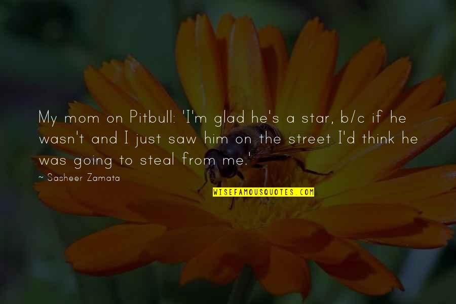 Thinking Of My Mom Quotes By Sasheer Zamata: My mom on Pitbull: 'I'm glad he's a Thinking Of My Mom Quotes By Sasheer Zamata: My mom on Pitbull: 'I'm glad he's a