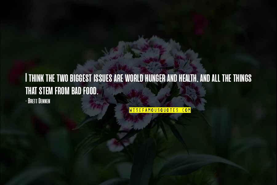 Thinking Of You Health Quotes By Brett Dennen: I think the two biggest issues are world