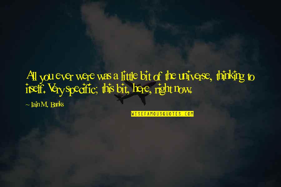 Thinking Of You Now Quotes By Iain M. Banks: All you ever were was a little bit