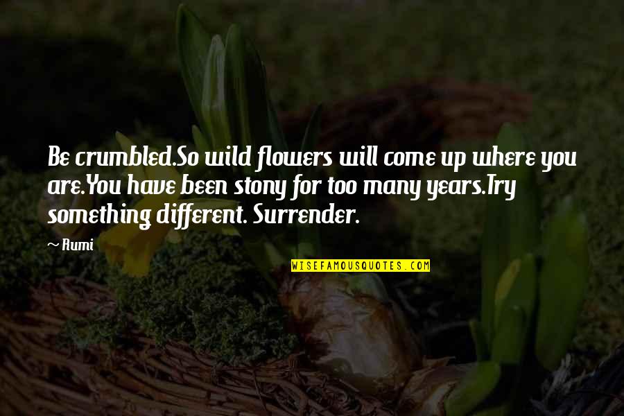 Thinking Positive About Yourself Quotes By Rumi: Be crumbled.So wild flowers will come up where