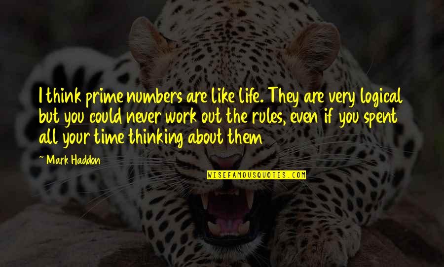 Thinking Too Much About Life Quotes By Mark Haddon: I think prime numbers are like life. They