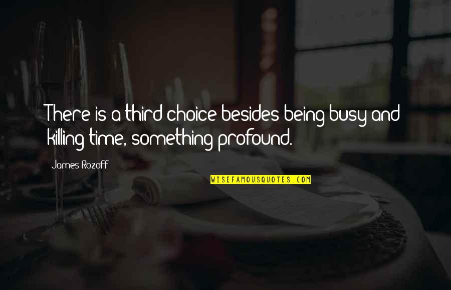 Third Time Quotes By James Rozoff: There is a third choice besides being busy