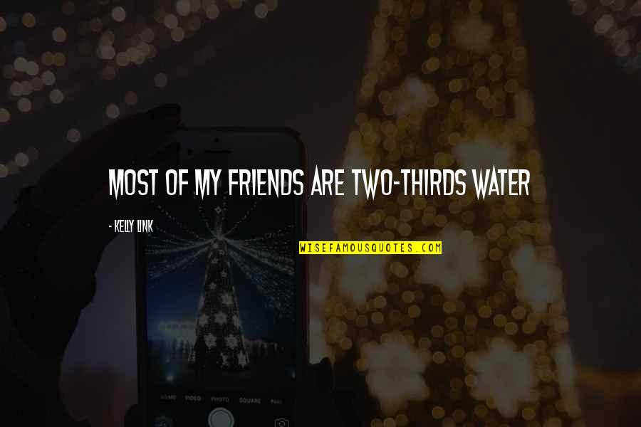 Thirds Quotes By Kelly Link: Most of My Friends are two-thirds water