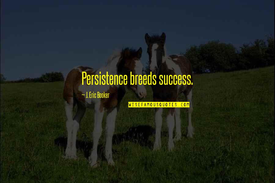 Thirteen Reasons Why Love Quotes By J. Eric Booker: Persistence breeds success.