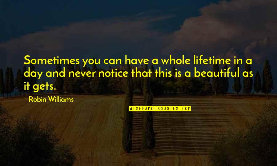 This Beautiful Day Quotes By Robin Williams: Sometimes you can have a whole lifetime in