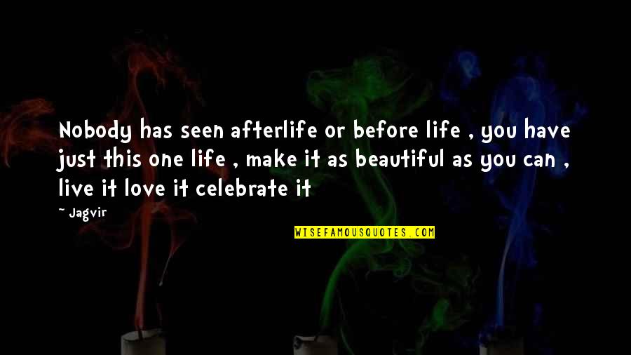 This Beautiful Life Quotes By Jagvir: Nobody has seen afterlife or before life ,