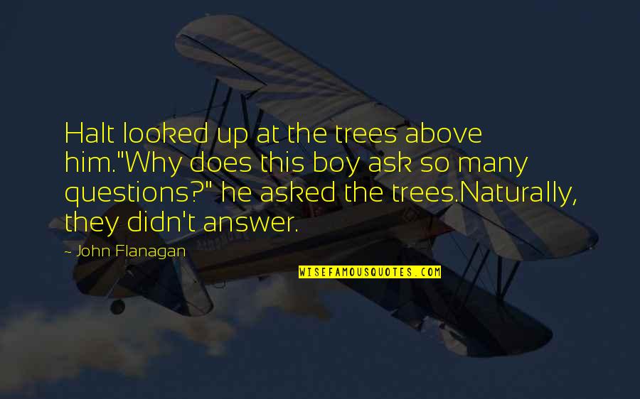 This Boy Quotes By John Flanagan: Halt looked up at the trees above him."Why This Boy Quotes By John Flanagan: Halt looked up at the trees above him."Why