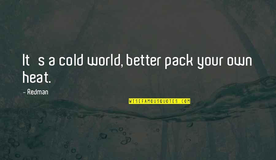This Cold World Quotes By Redman: It's a cold world, better pack your own