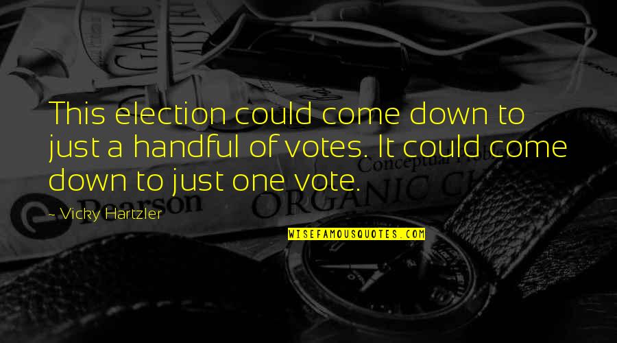 This Election Quotes By Vicky Hartzler: This election could come down to just a