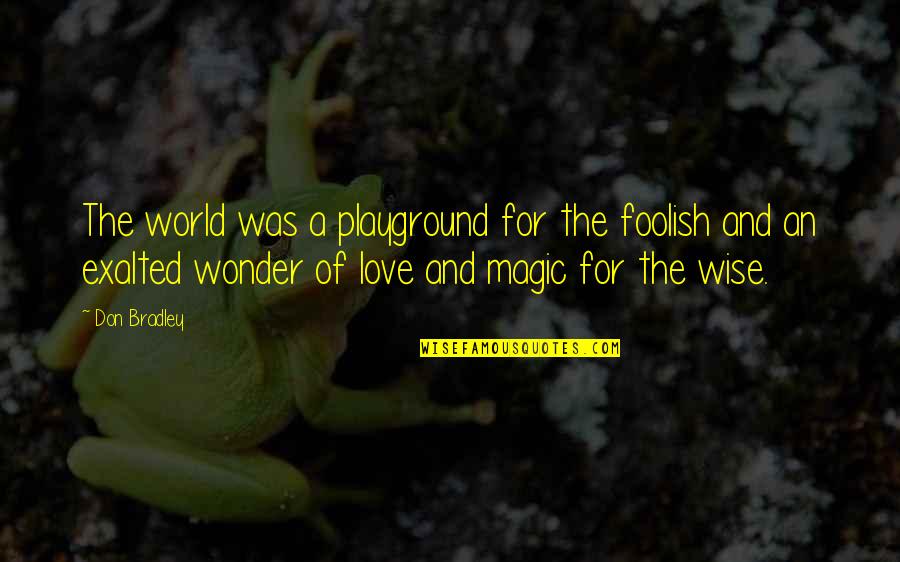 This Foolish World Quotes By Don Bradley: The world was a playground for the foolish