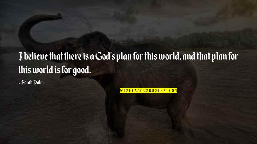 This Is God Quotes By Sarah Palin: I believe that there is a God's plan