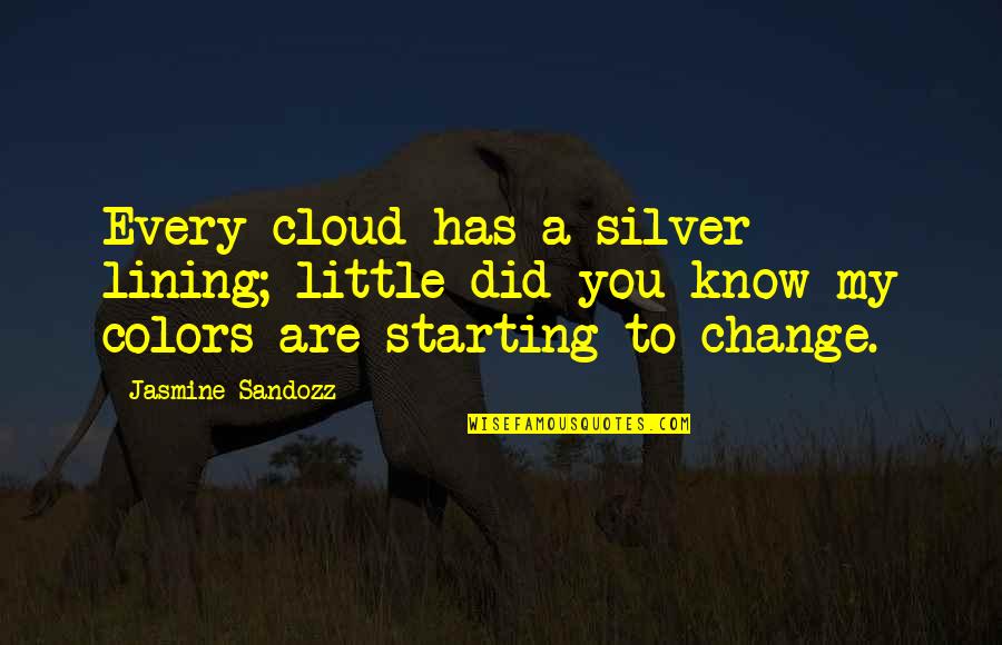 This Is Her First Novel Quotes By Jasmine Sandozz: Every cloud has a silver lining; little did This Is Her First Novel Quotes By Jasmine Sandozz: Every cloud has a silver lining; little did