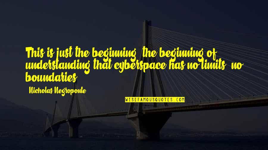 This Is Just The Beginning Quotes By Nicholas Negroponte: This is just the beginning, the beginning of