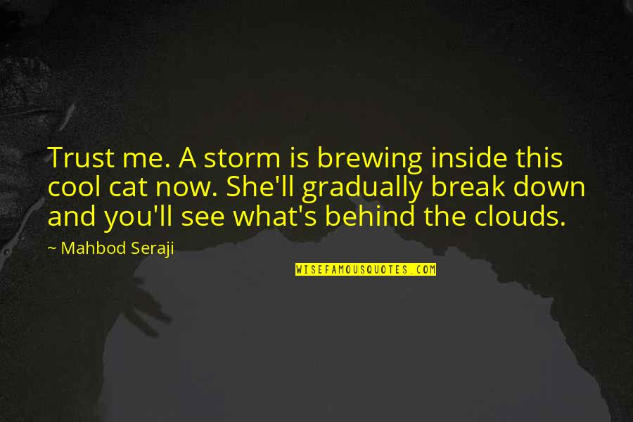 This Is Me Now Quotes By Mahbod Seraji: Trust me. A storm is brewing inside this