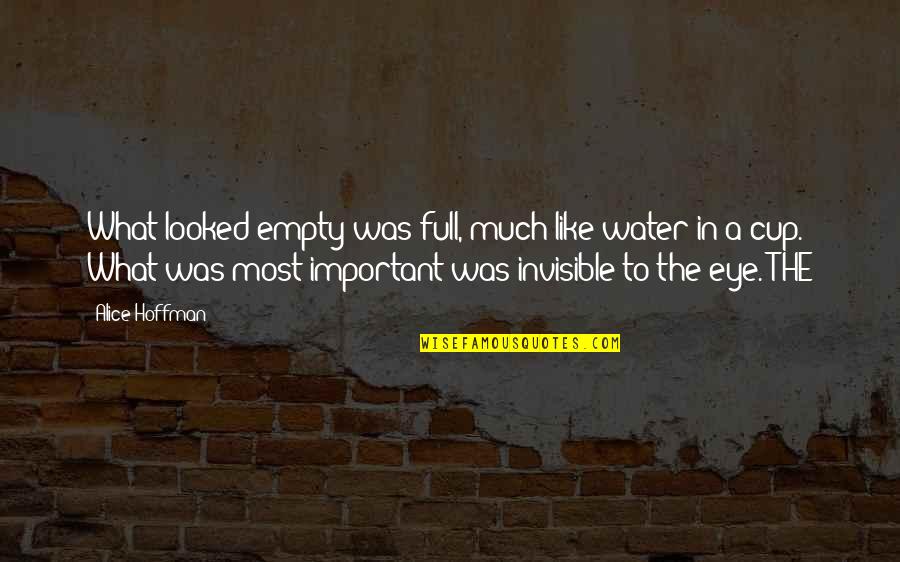This Is Water Important Quotes By Alice Hoffman: What looked empty was full, much like water This Is Water Important Quotes By Alice Hoffman: What looked empty was full, much like water