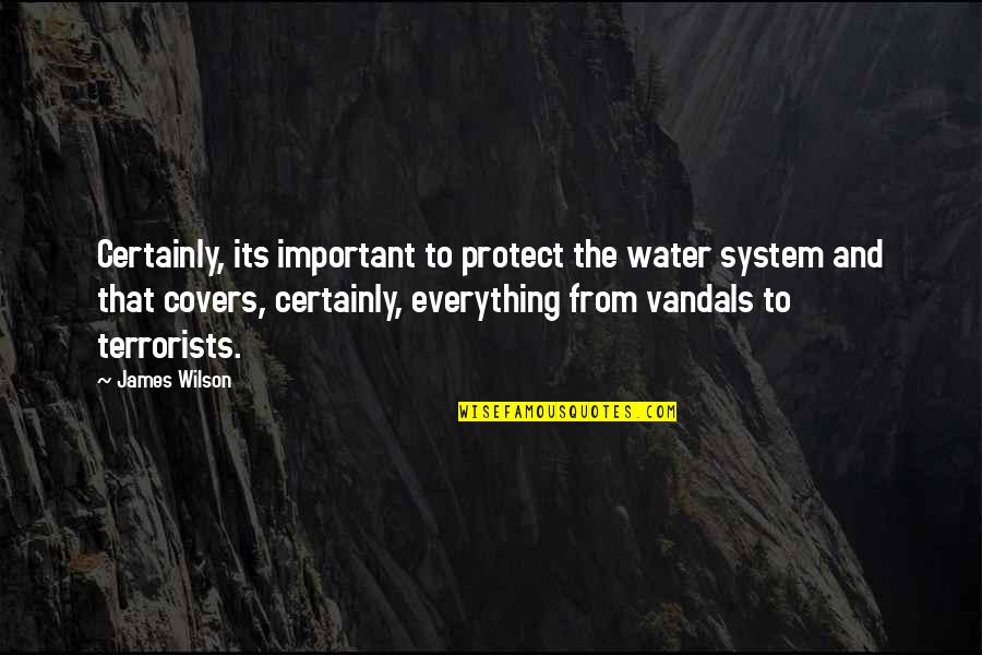 This Is Water Important Quotes By James Wilson: Certainly, its important to protect the water system This Is Water Important Quotes By James Wilson: Certainly, its important to protect the water system