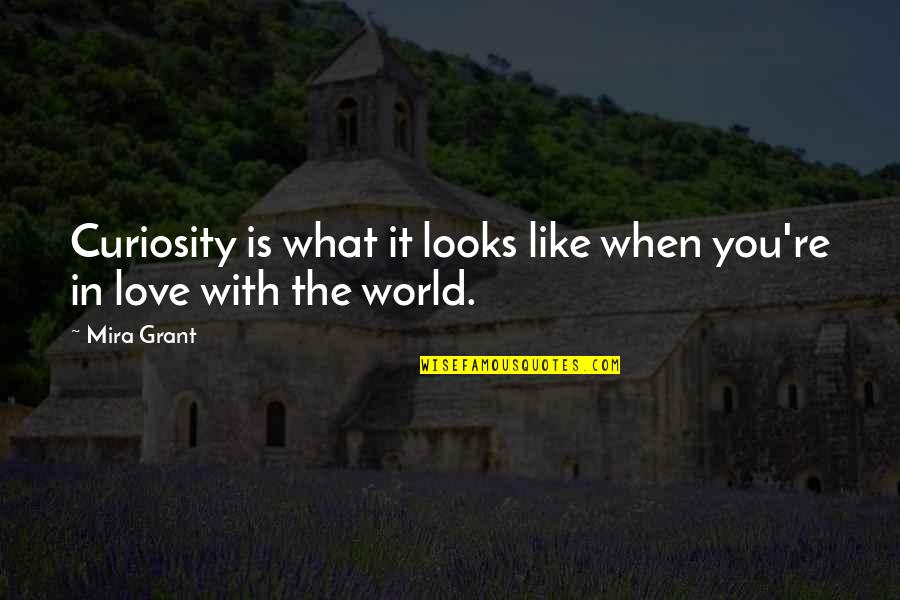 This Is What Love Looks Like Quotes By Mira Grant: Curiosity is what it looks like when you're