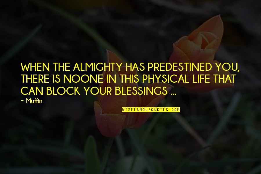 This Is Your Life Quotes By Muffin: WHEN THE ALMIGHTY HAS PREDESTINED YOU, THERE IS This Is Your Life Quotes By Muffin: WHEN THE ALMIGHTY HAS PREDESTINED YOU, THERE IS