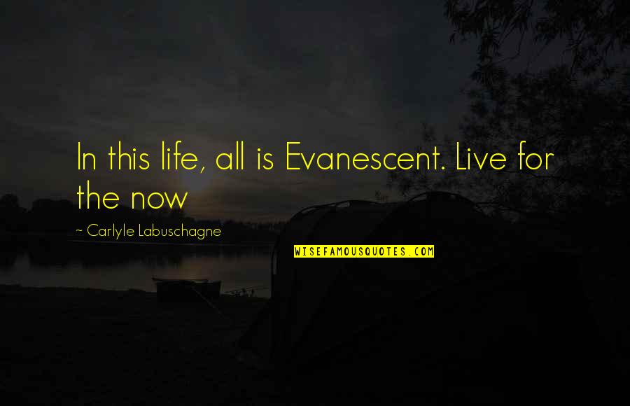 This Life Quotes By Carlyle Labuschagne: In this life, all is Evanescent. Live for