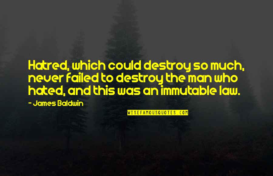 This Man Quotes By James Baldwin: Hatred, which could destroy so much, never failed This Man Quotes By James Baldwin: Hatred, which could destroy so much, never failed