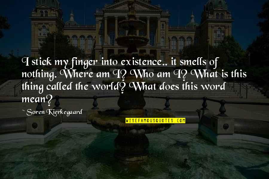 This Mean World Quotes By Soren Kierkegaard: I stick my finger into existence.. it smells