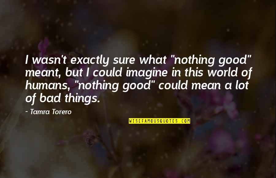 This Mean World Quotes By Tamra Torero: I wasn't exactly sure what "nothing good" meant, This Mean World Quotes By Tamra Torero: I wasn't exactly sure what "nothing good" meant,