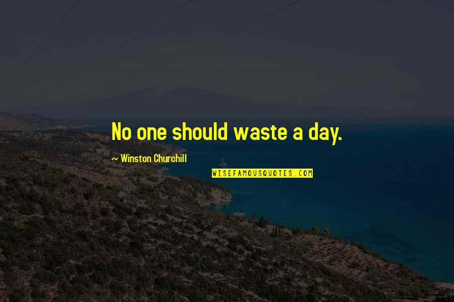 This One Is For Winston Quotes By Winston Churchill: No one should waste a day.