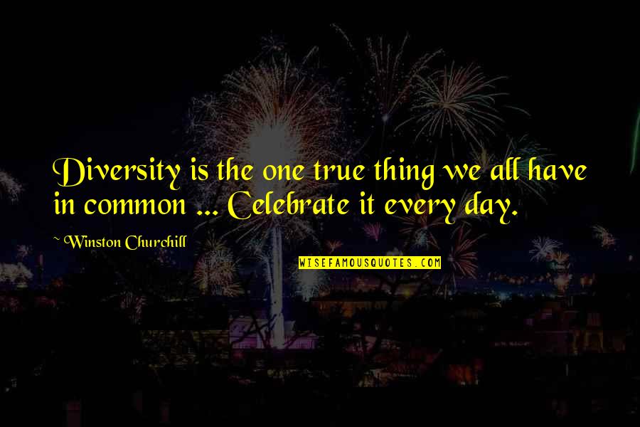 This One Is For Winston Quotes By Winston Churchill: Diversity is the one true thing we all