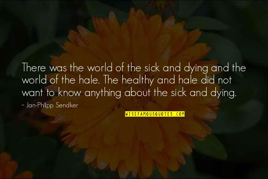 This Sick World Quotes By Jan-Philipp Sendker: There was the world of the sick and